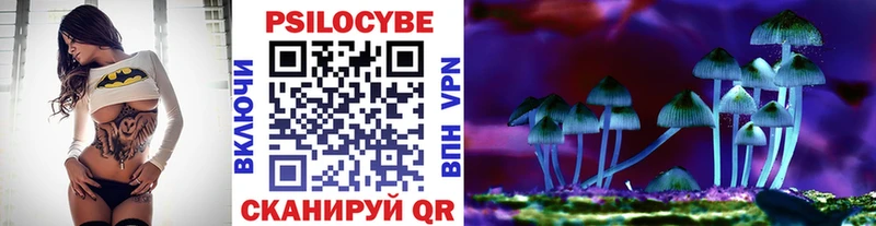 Галлюциногенные грибы MAGIC MUSHROOMS  продажа наркотиков  Киренск 